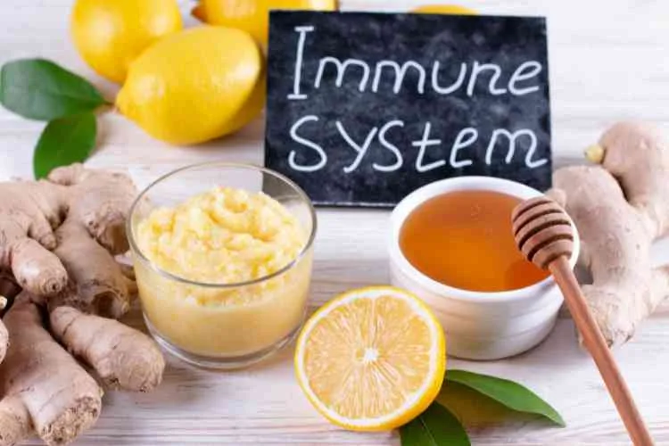 Understanding Immunity, The Ayurvedic Way