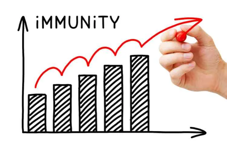 Boost Your Immunity